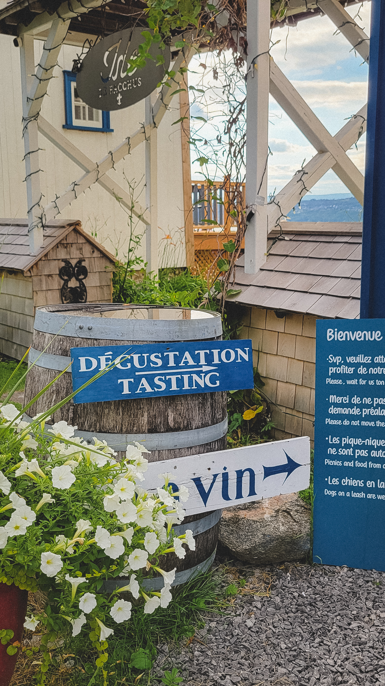 dégustation vins iles d'orléans