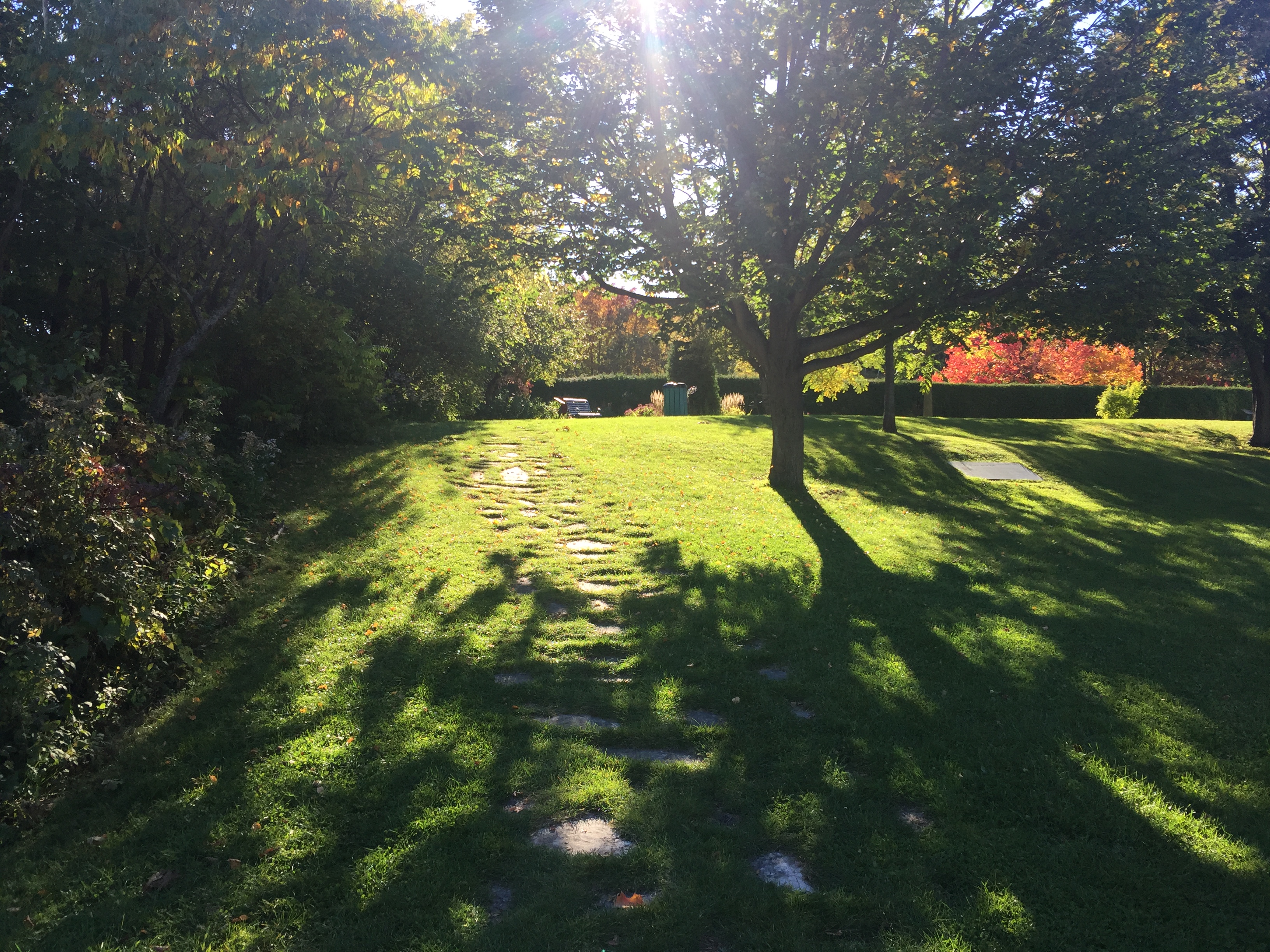 cap lauzon, picnic et détente
