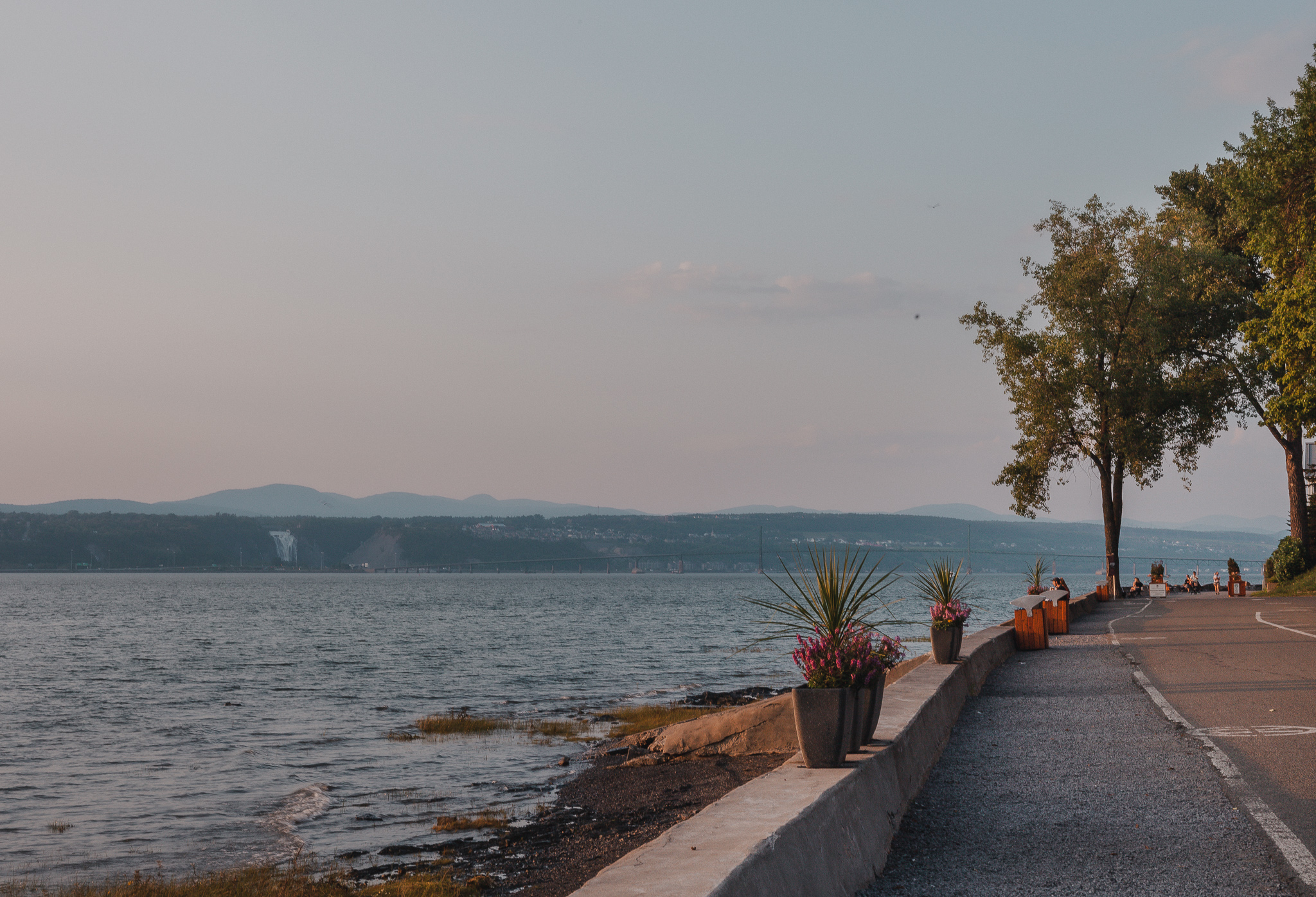 promenade horacio walker