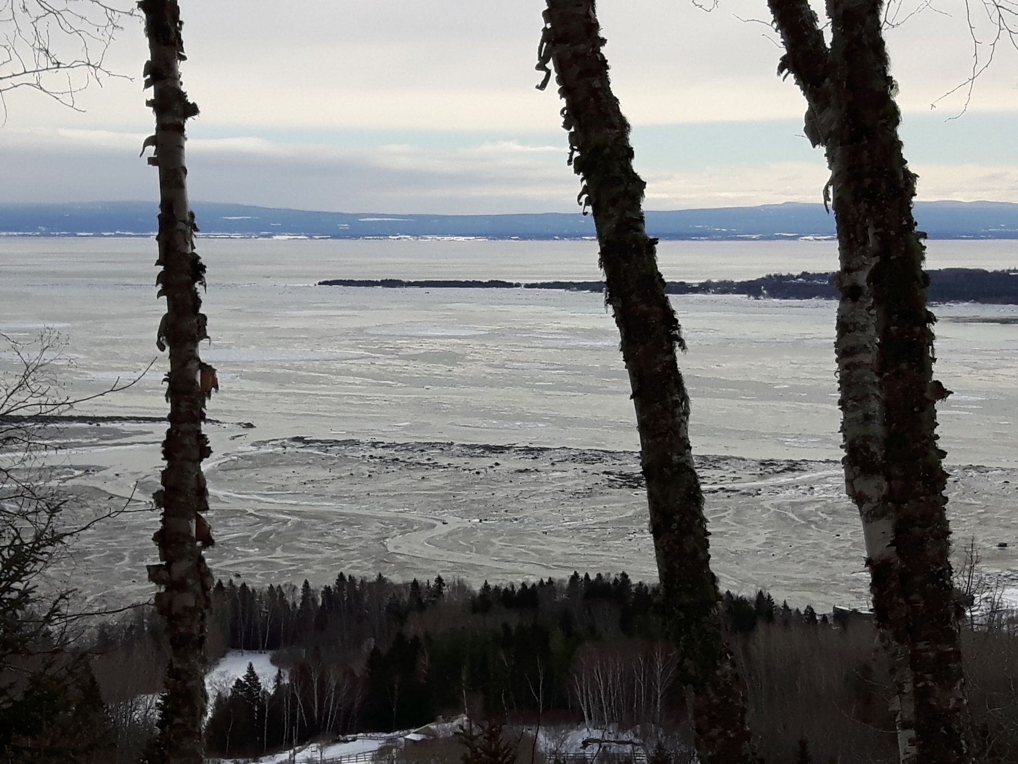 randonnée au sentier forêt marine