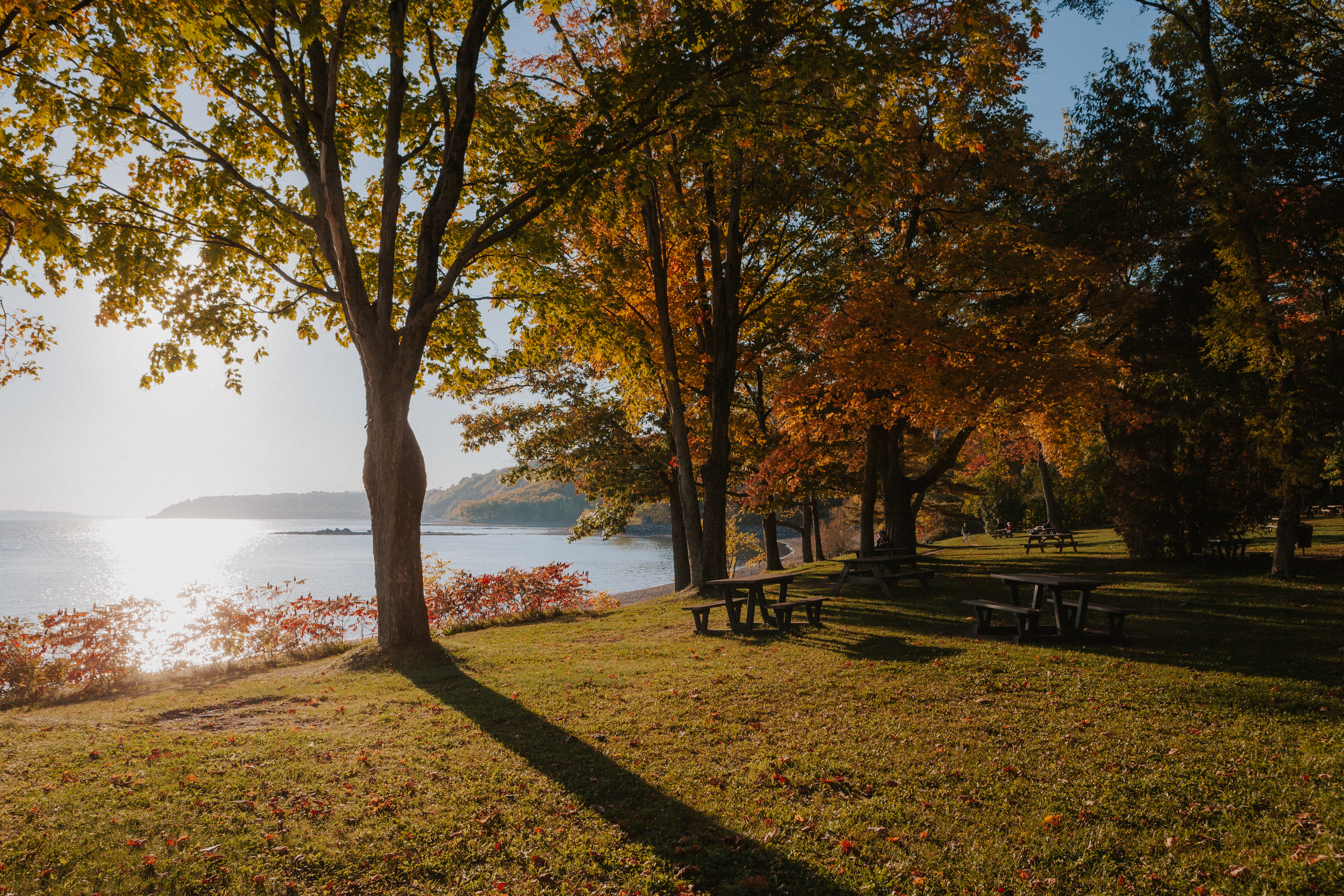 plage jacques cartier