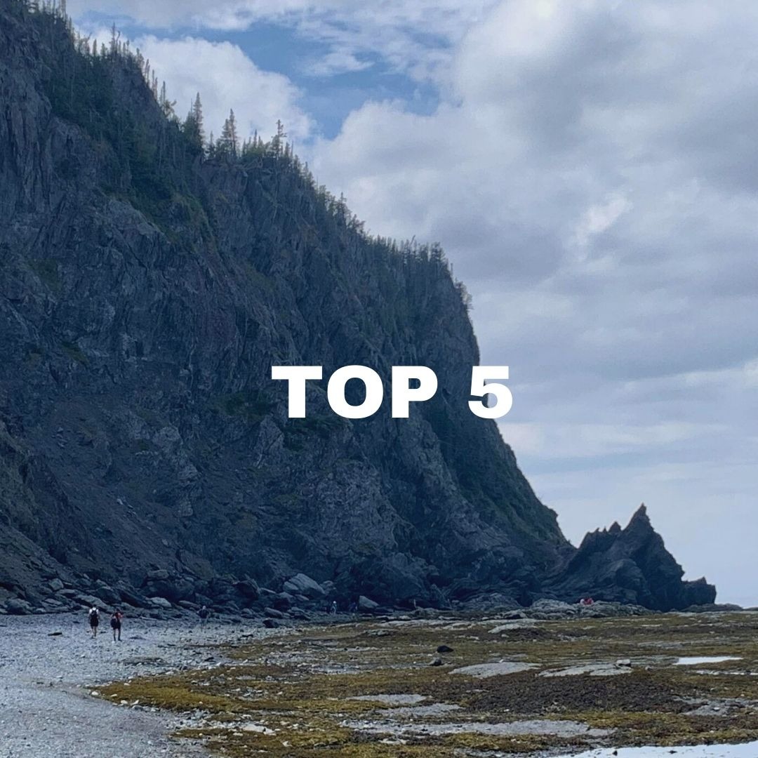 Top 5